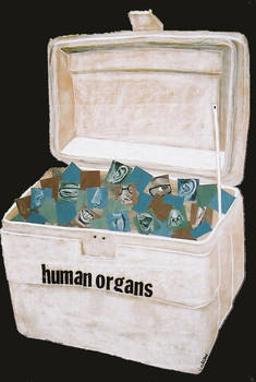 Human Organs