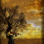 Ode to the Muse