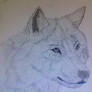 Wolf face