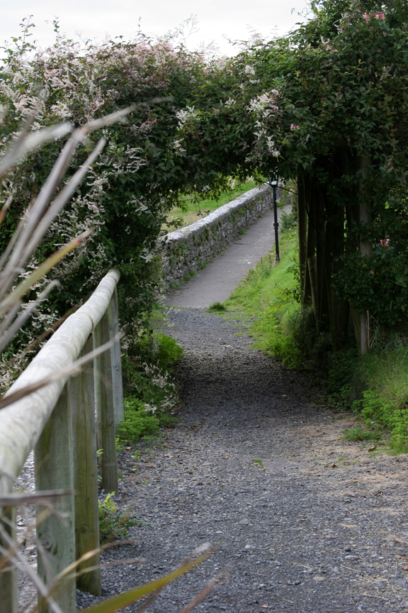 Cemetery Path