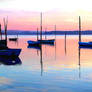 Sunset Harbor