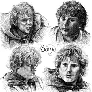 Sam sketches