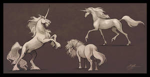 Unicorns