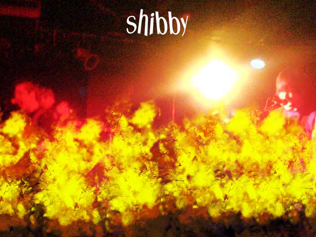 Shibby on fire