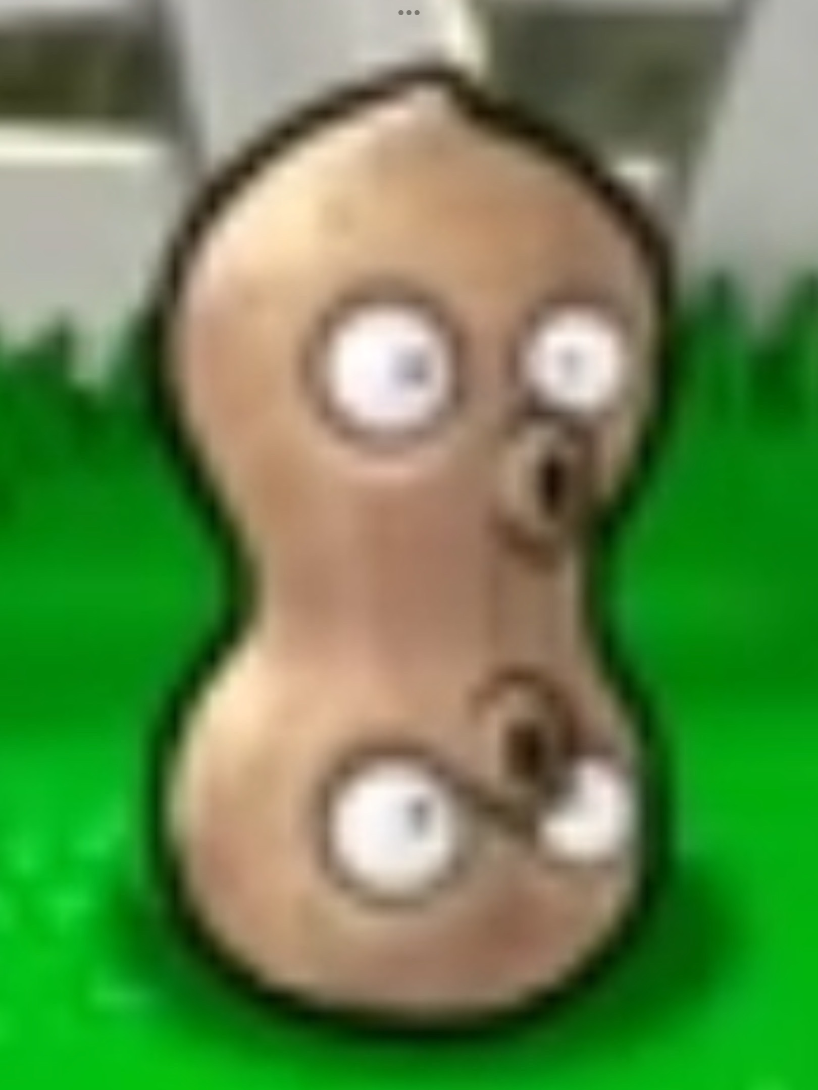 Peanut Pvz 2009 Pea Nut from Plants vs Zombies by WowChicogoBlushrooms on DeviantArt
