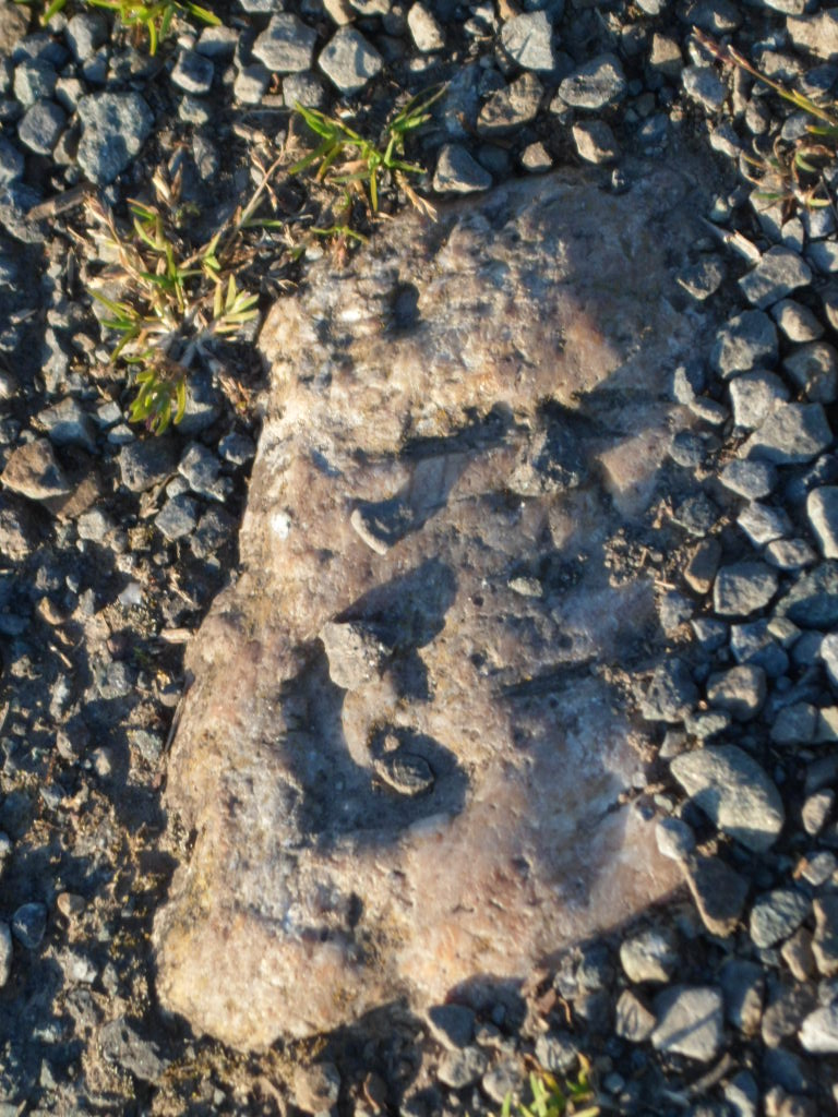 Face in the Stones