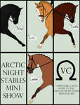Arctic Night Stables Mini Show -- Dressage by elkasteri