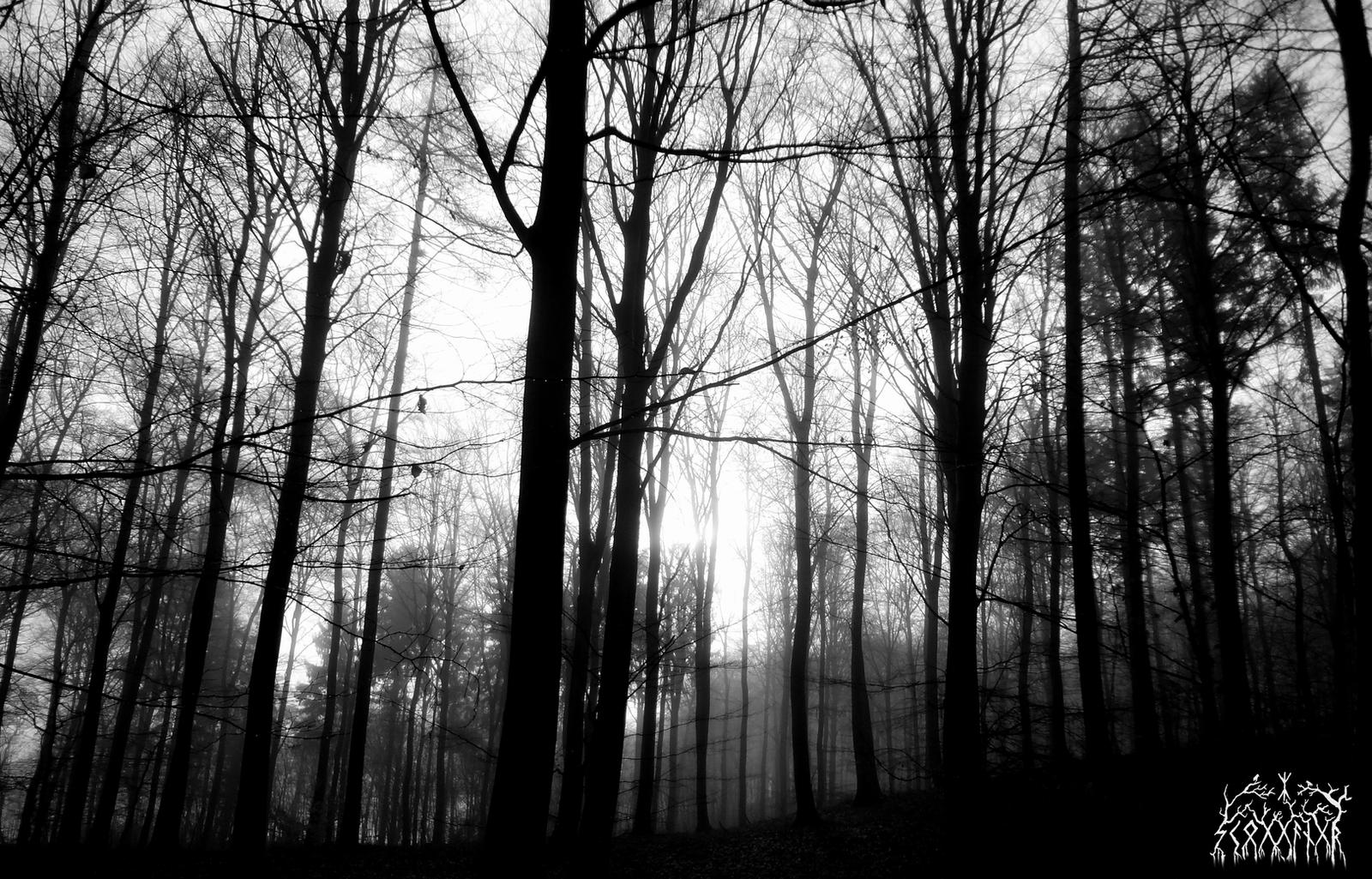 Slender trees