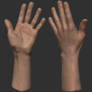Half 3D scanned hand
