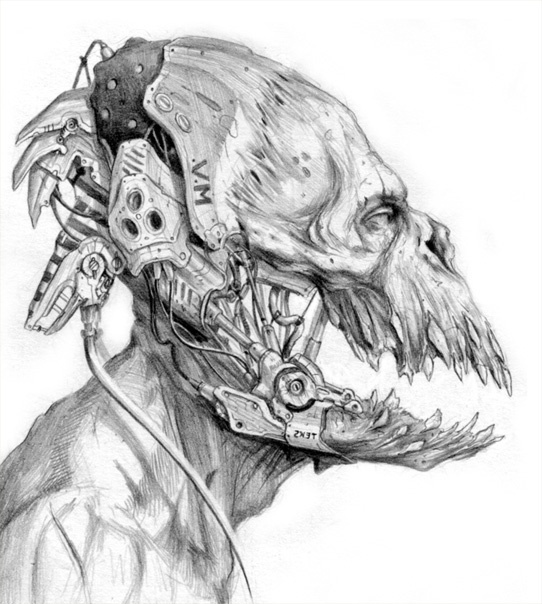 Skull12