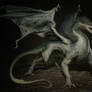 Dragon for Spellforce 3