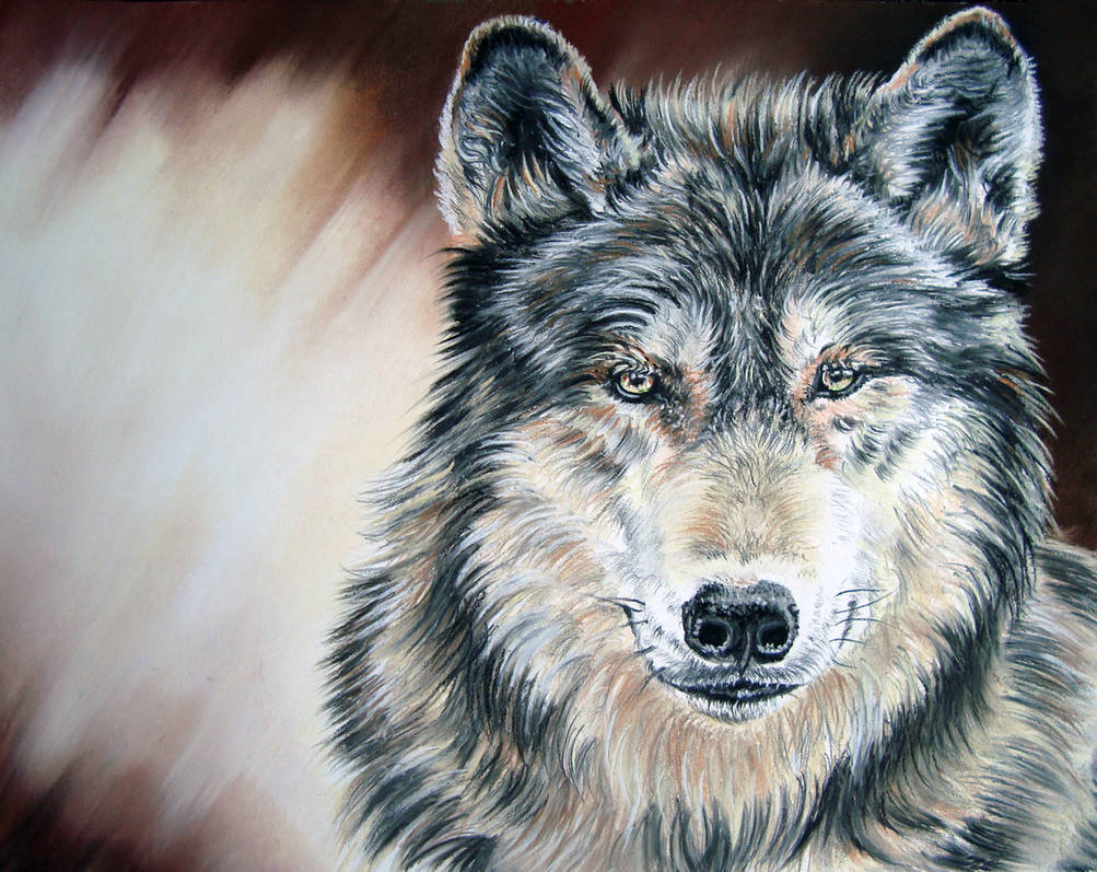 Wolf by Draw-My-Pets