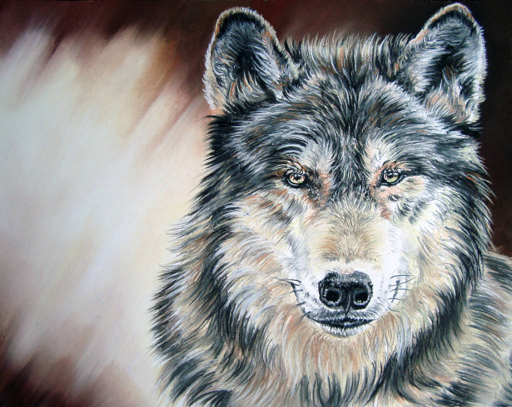 Wolf by Draw-My-Pets