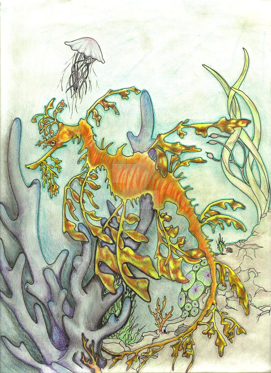 Sea Dragon