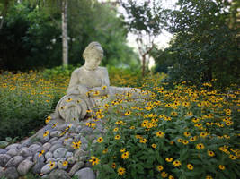 Rudbeckia - Statue