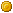 Gold Coin