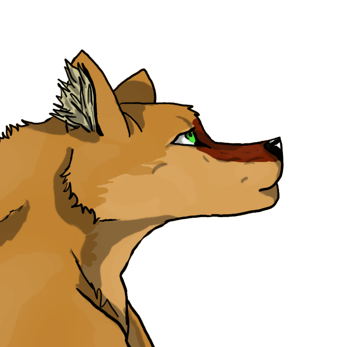 Rowan Animation by Mythologylover on DeviantArt