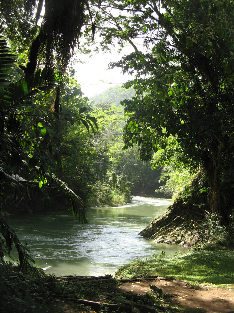 Река джунгли Река джунгли