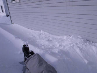 Sittin' in a Snowbank