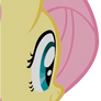 Fluttershy back