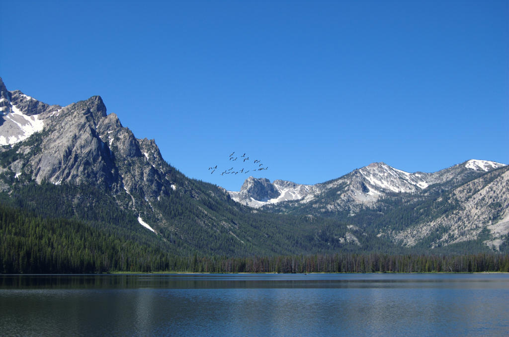 Stanley Lake 11 - 2008