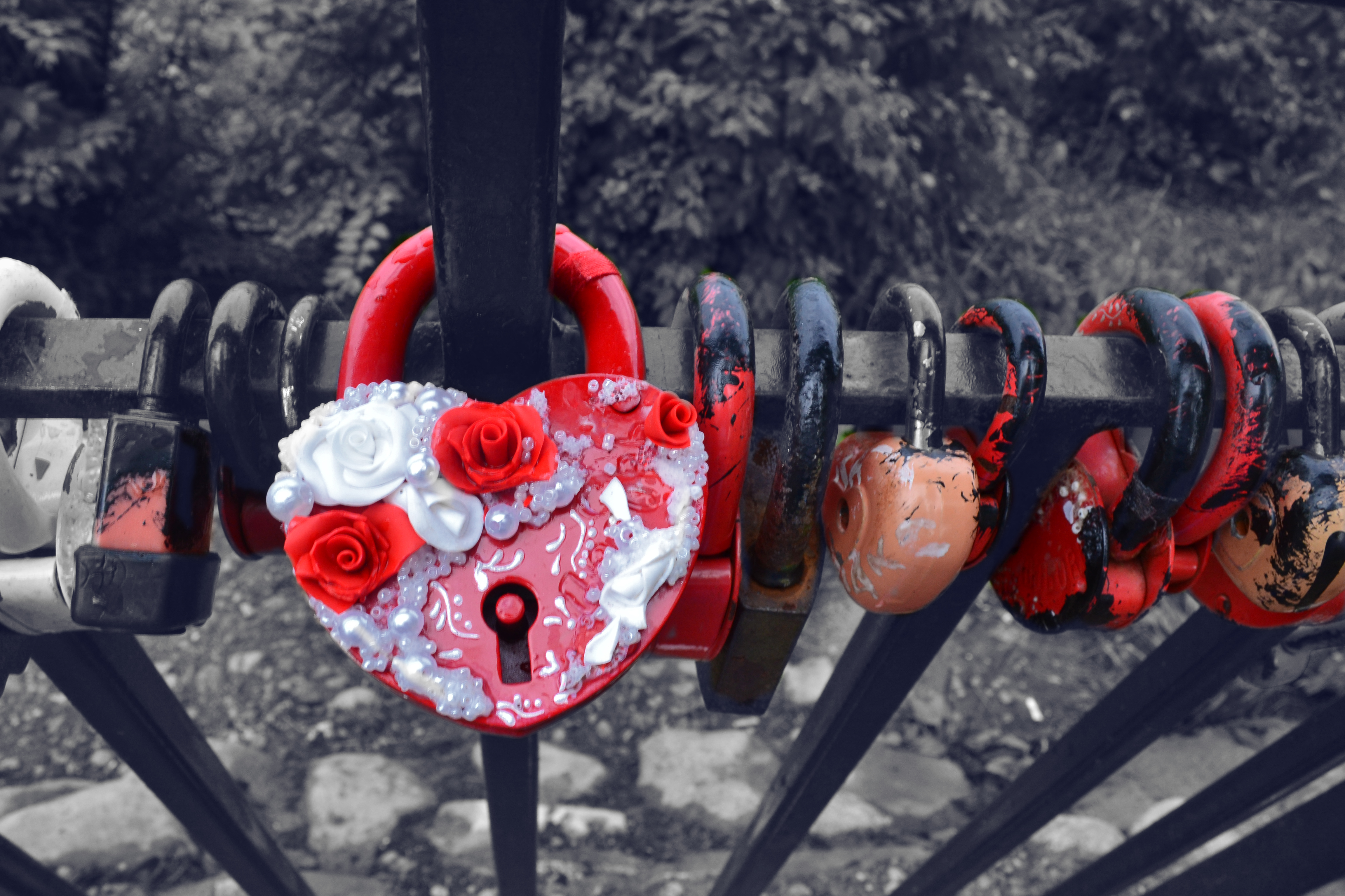 locks of love. Photo