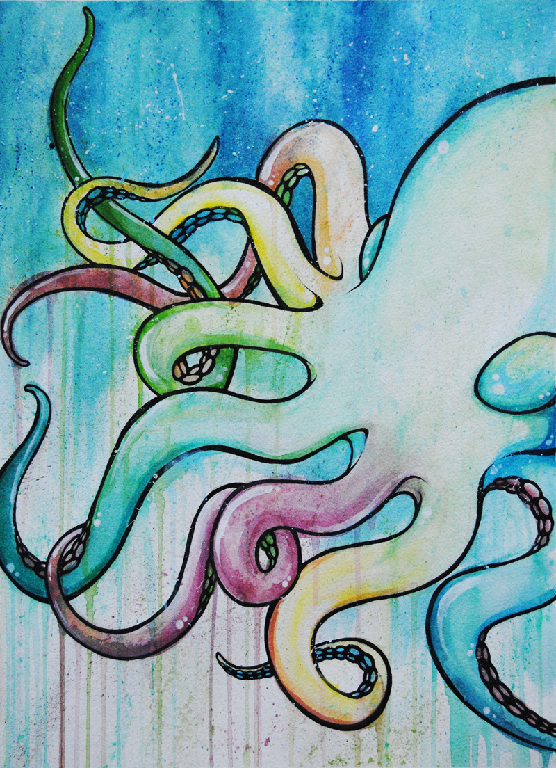 cephalopod.