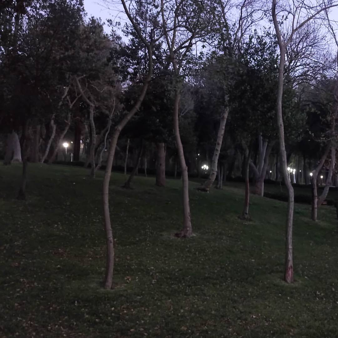 25038369 137526590252657 6684236248187404288 N