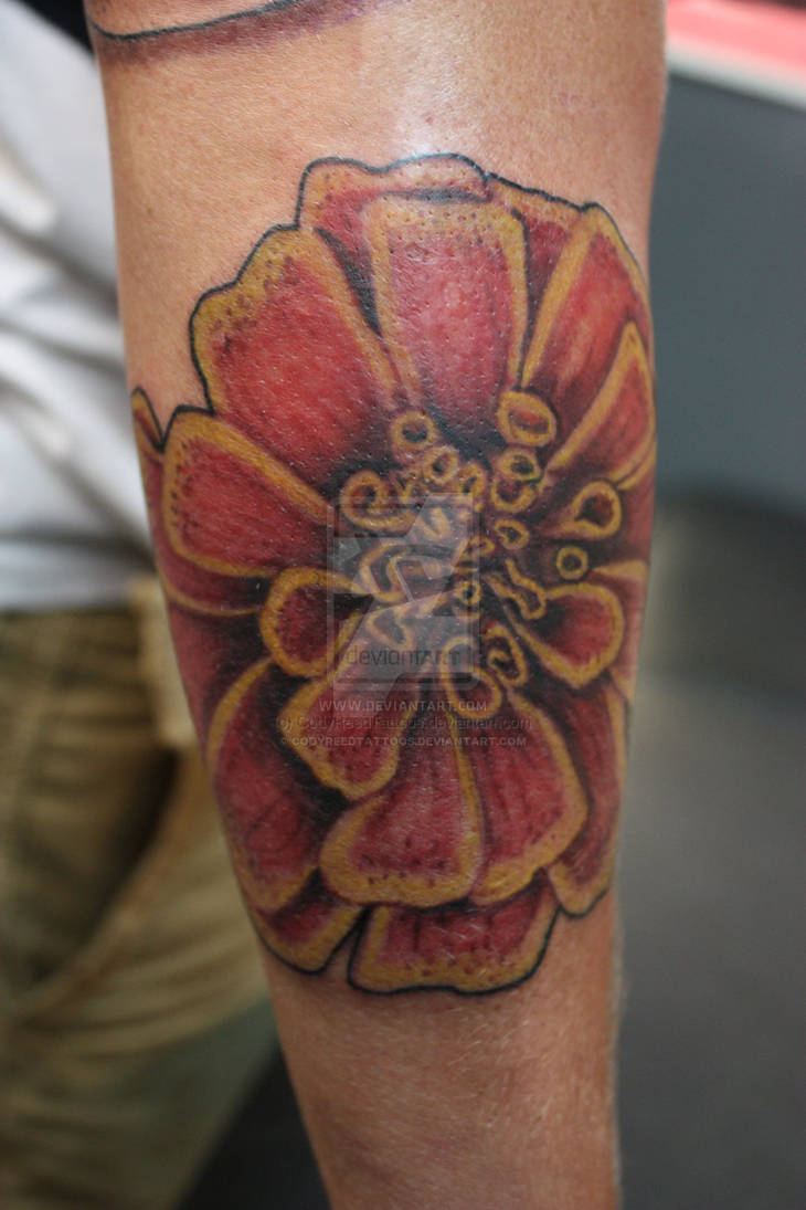 Marigold Tattoo By Codyreedtattoos On Deviantart Marigold Tattoo By Codyreedtattoos On Deviantart