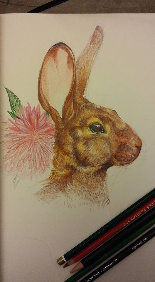 Snowshoe Hare WIP