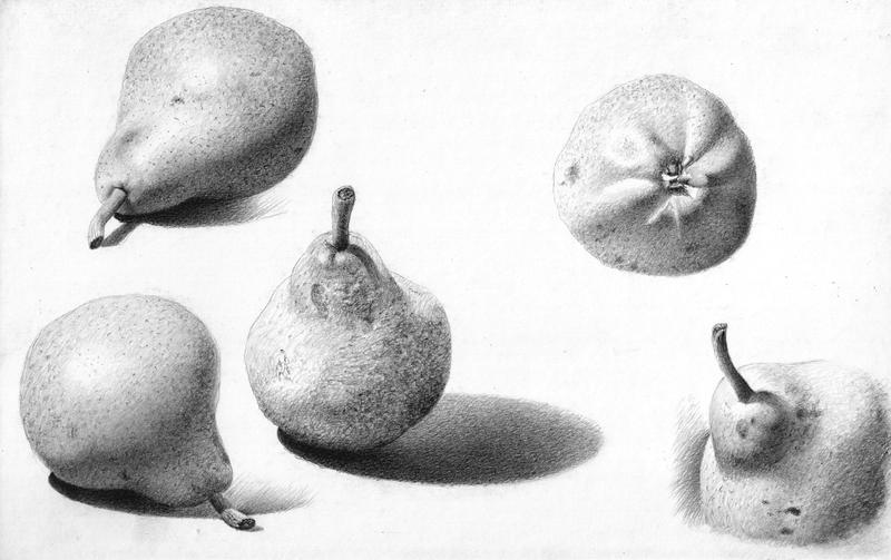 pear study