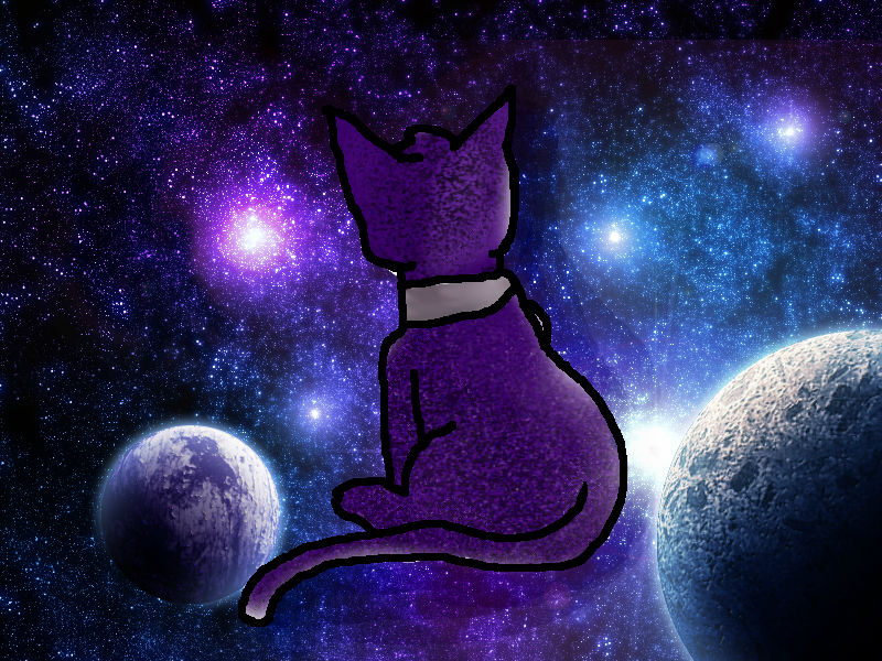 Cat of Space