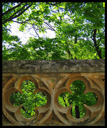 Balcony and Trees