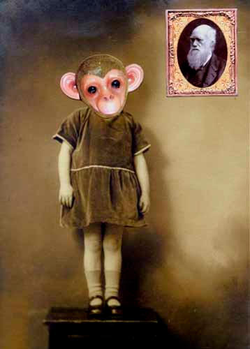 Devolution is real by Teriko on DeviantArt