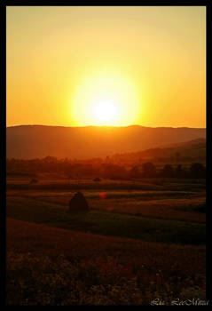 The colors of a sunset.