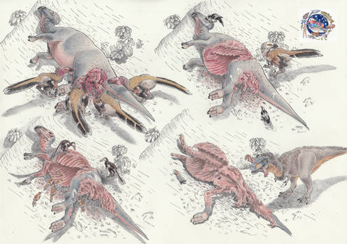 Here's what happens after a hadrosaur dies