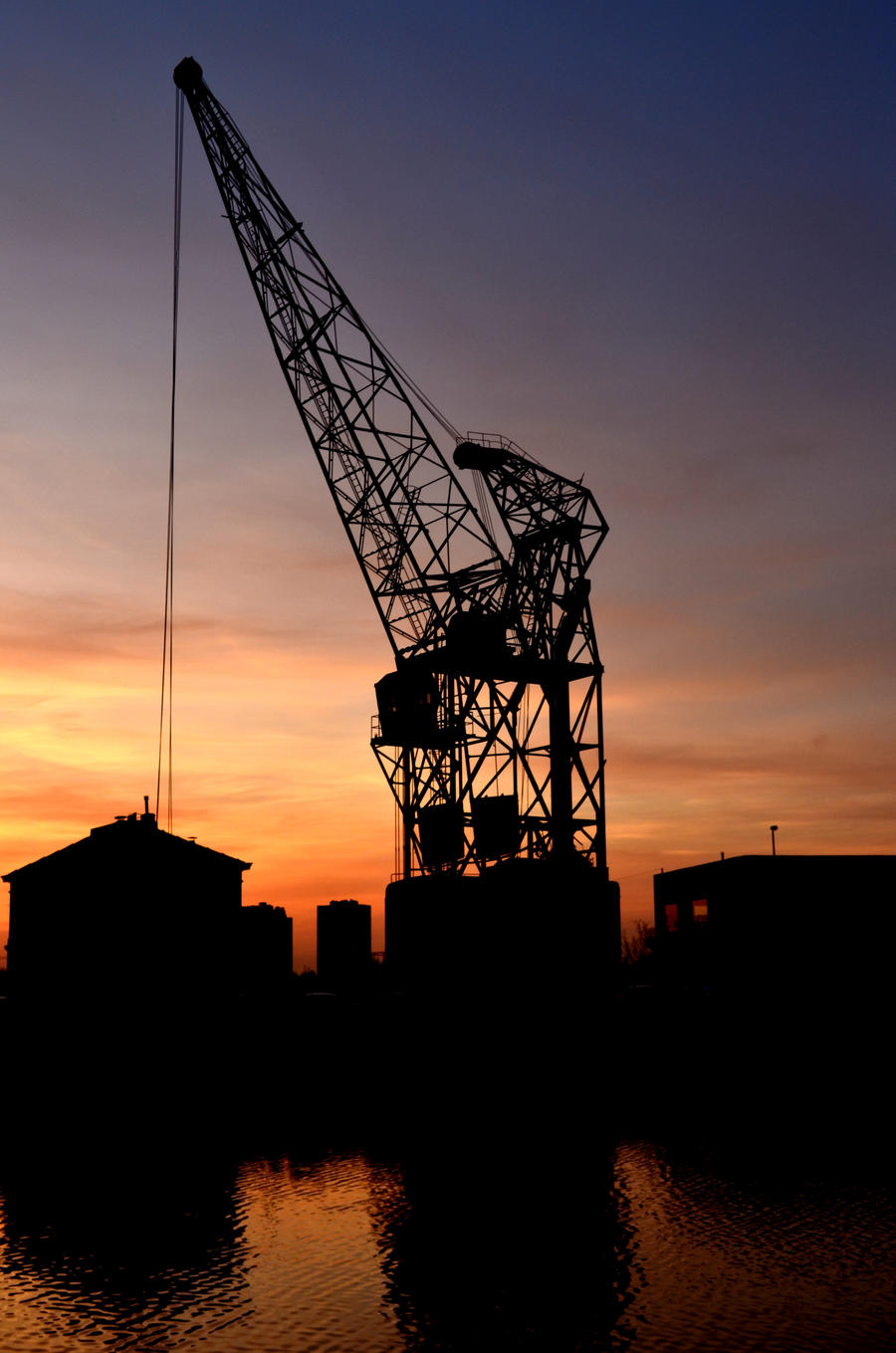 Crane at Sunset