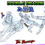 Double Dragon