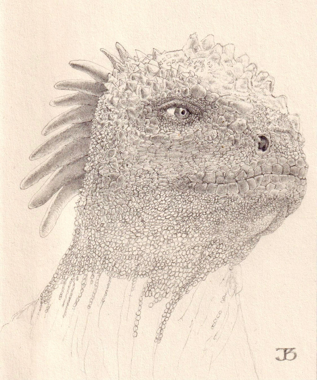 Marine Iguana Sketch by WhollyJeff on DeviantArt