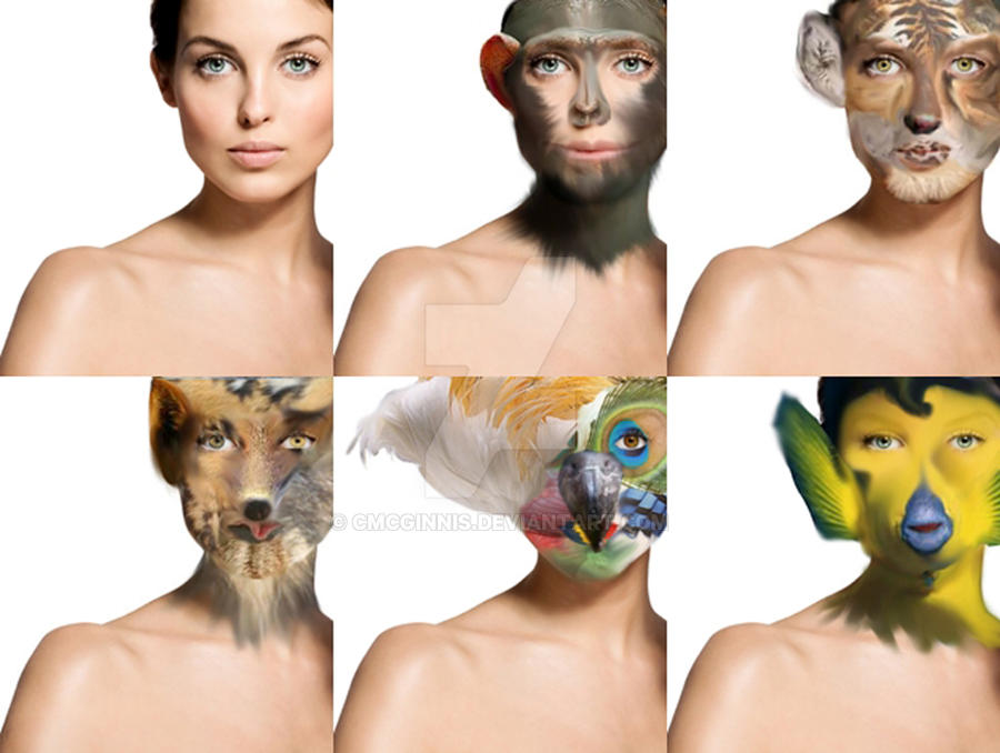 Woman Evolution Deviantart One Girl Evolution by cmcginnis on DeviantArt