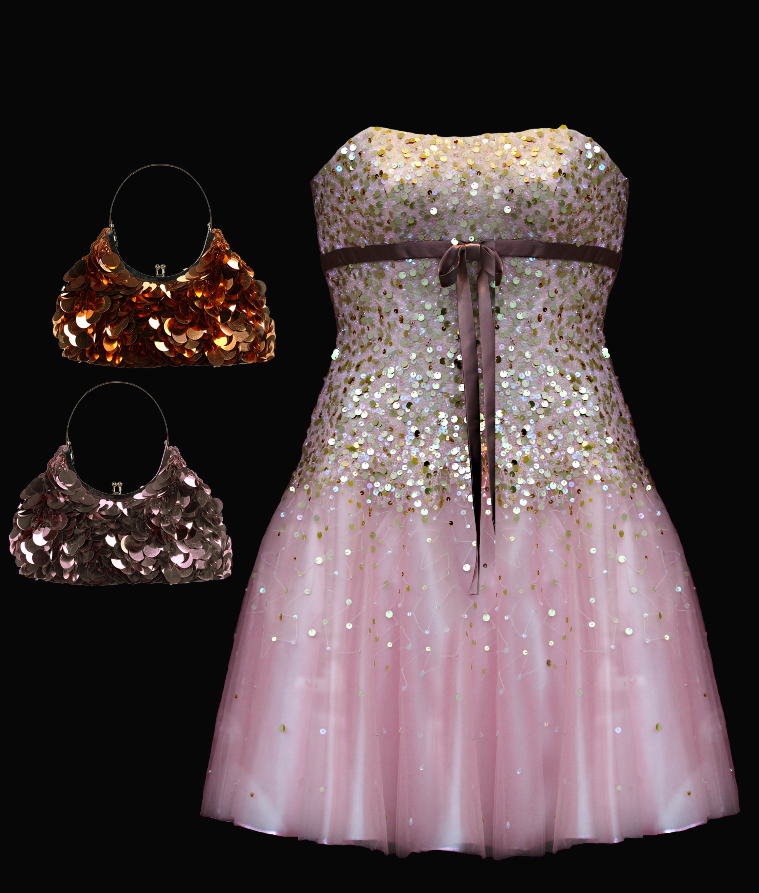 Formal Dress And Purses