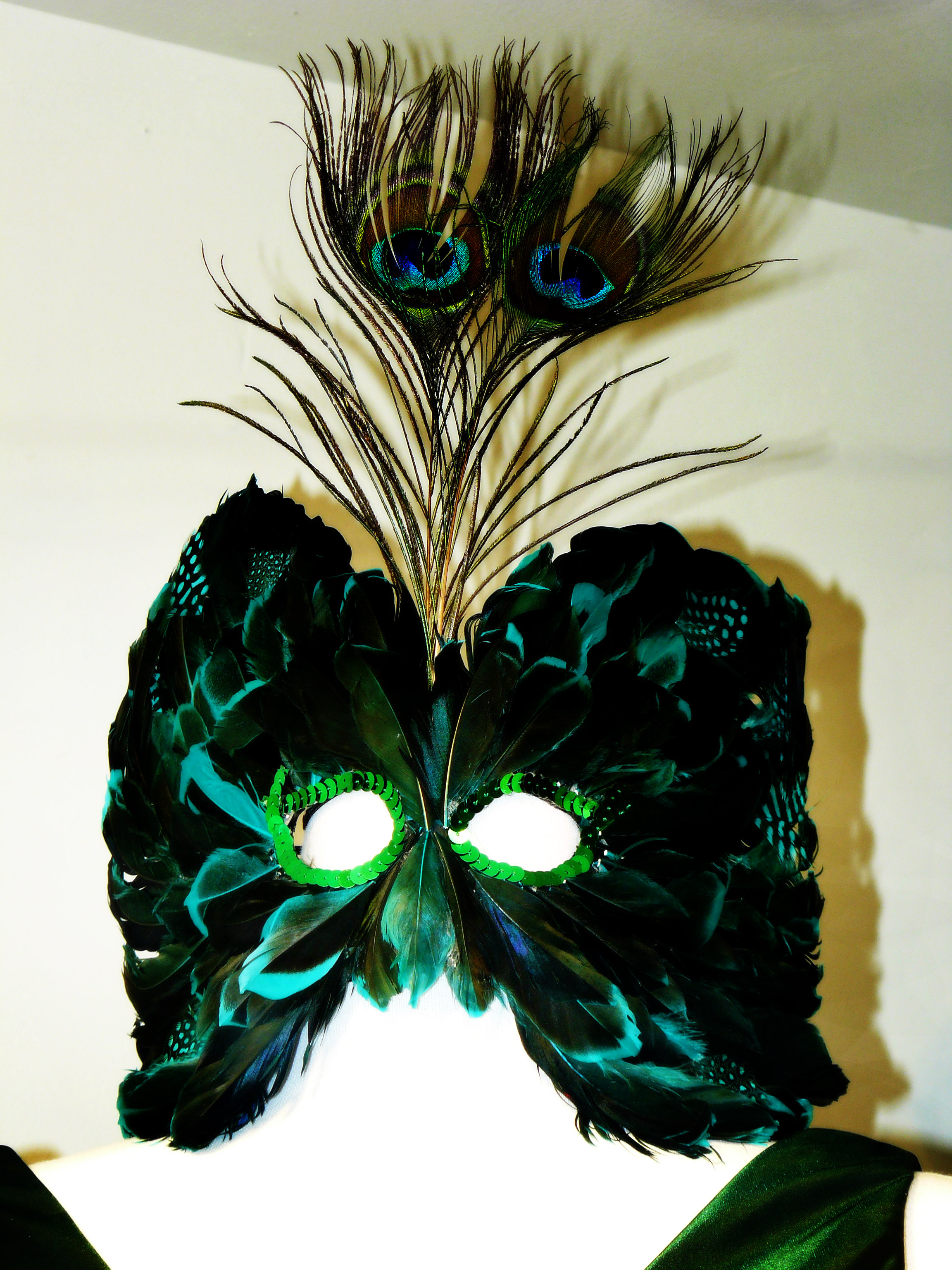 Feather Mask