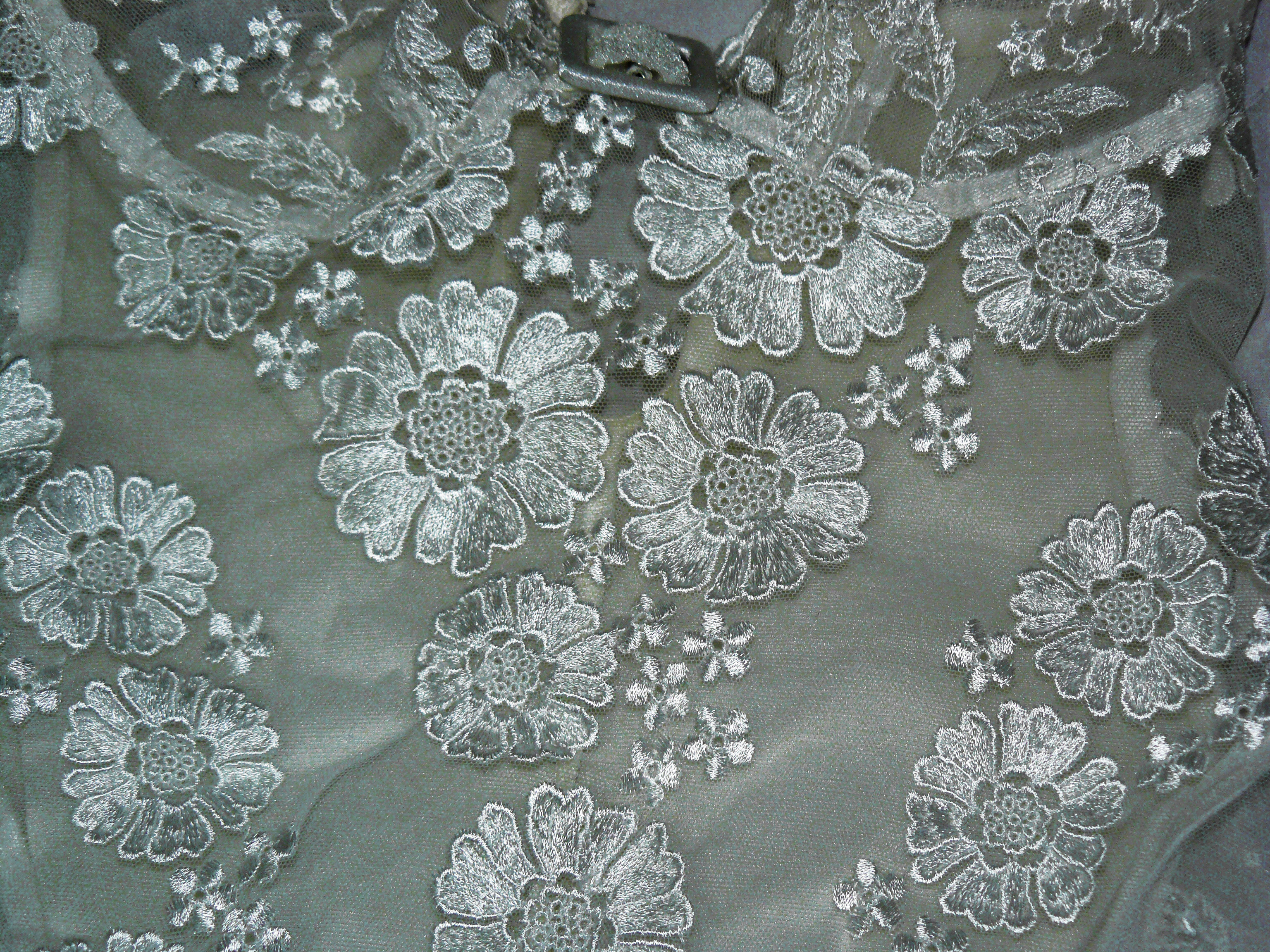 Lace Texture 2