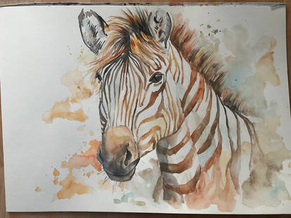 Zebra in aquarelle