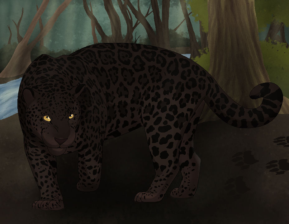 Panthera Onca by NerdSolitaria on DeviantArt