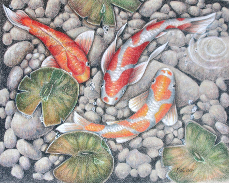 Koi Pond 2