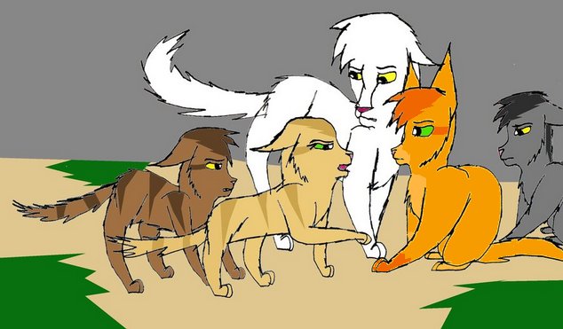 Into The Wild: Sandpaw And Dustpaws Warm Welcome