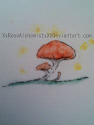 Mushroom