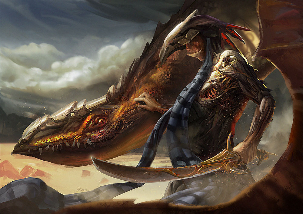 wyvern rider by ticor on DeviantArt