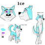 Ice Character Sheet